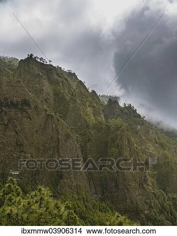 "Rocks covered with pine trees, Caldera de Taburiente National Park, La Palma, Canary Islands, Spain, Europe" View Large Photo Image Picture - "Rocks covered with pine trees, Caldera de Taburiente National Park, La Palma, Canary Islands, Spain, Europe". Fotosearch
