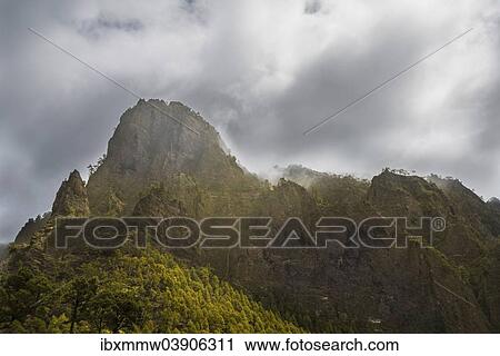 "Rocks covered with pine trees, Caldera de Taburiente National Park, La Palma, Canary Islands, Spain, Europe" View Large Photo Image Stock Image - "Rocks covered with pine trees, Caldera de Taburiente National Park, La Palma, Canary Islands, Spain, Europe". Fotosearch
