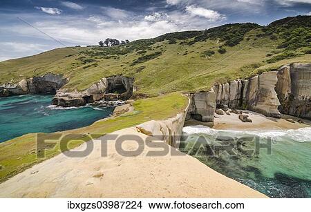 "Rocky cliffs of the Pacific coast at Tunnel Beach, Dunedin, Otago Region, South Island, New Zealand, Oceania" View Large Photo Image Picture - "Rocky cliffs of the Pacific coast at Tunnel Beach, Dunedin, Otago Region, South Island, New Zealand, Oceania". Fotosearch