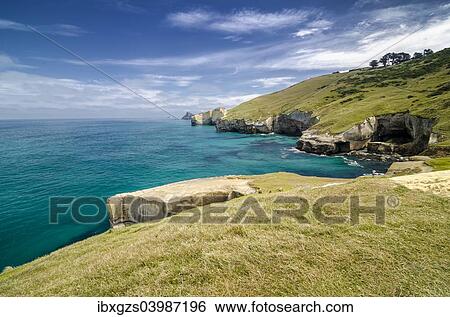 Stock Photograph - "Rocky cliffs of the Pacific coast at Tunnel Beach, Dunedin, Otago Region, South Island, New Zealand, Oceania". Fotosearch