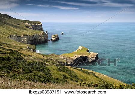 "Rocky cliffs on the Pacific coast at Tunnel Beach, Dunedin, Otago Region, South Island, New Zealand, Oceania" View Large Photo Image Stock Image - "Rocky cliffs on the Pacific coast at Tunnel Beach, Dunedin, Otago Region, South Island, New Zealand, Oceania". Fotosearch