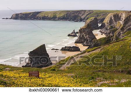 "Rocky coast, Bedruthan Steps, Cornwall, England, United Kingdom, Europe" View Large Photo Image Stock Image - "Rocky coast, Bedruthan Steps, Cornwall, England, United Kingdom, Europe". Fotosearch