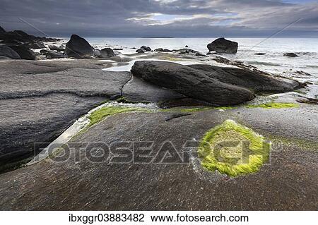 "Rocky coast near Utakleiv, Haukland, Vestvagoya, Lofoten, Nordland, Norway, Europe" View Large Photo Image Stock Image - "Rocky coast near Utakleiv, Haukland, Vestvagoya, Lofoten, Nordland, Norway, Europe". Fotosearch