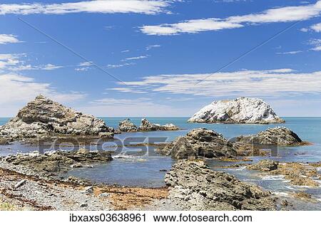 "Rocky coast with a view towards Panau Island, Kaikoura, Canterbury Region, New Zealand, Oceania" View Large Photo Image Stock Image - "Rocky coast with a view towards Panau Island, Kaikoura, Canterbury Region, New Zealand, Oceania". Fotosearch