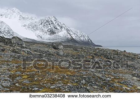 "Rocky landscape with moss, Magdalenefjorden, Spitsbergen, Spitsbergen Island, Svalbard Archipelago, Svalbard and Jan Mayen, Norway, Europe" View Large Photo Image Stock Photo - "Rocky landscape with moss, Magdalenefjorden, Spitsbergen, Spitsbergen Island, Svalbard Archipelago, Svalbard and Jan Mayen, Norway, Europe". Fotosearch