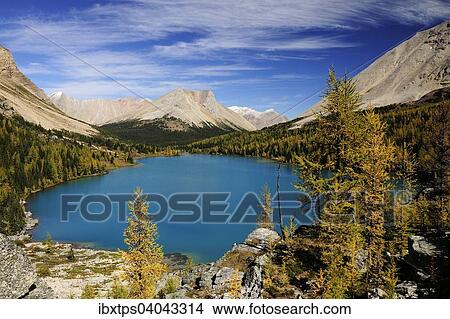 Picture - "Rocky Mountains with the turquoise Skoki Lake in autumn, Banff National Park, Alberta, Canada, North America". Fotosearch