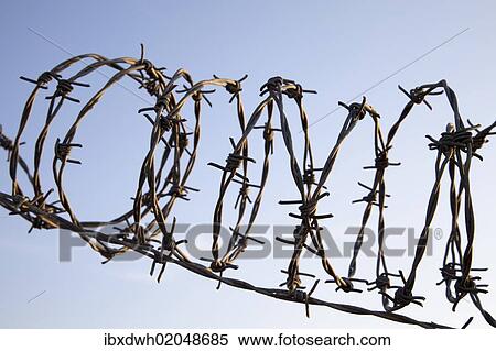 Rolled barbed wire View Large Photo Image Stock Photography - Rolled barbed wire. Fotosearch