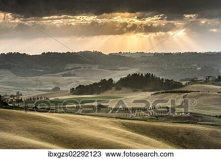 Stock Image - "Rolling hills with dark atmospheric clouds, corn fields at dusk, Villamagna, Tuscany, Italy, Europe". Fotosearch