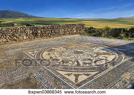 "Roman mosaic, Orpheus with African animals, The House of Orpheus, archaeological site, Volubilis, UNESCO World Heritage Site, near Meknes, Morocco, Africa" View Large Photo Image Stock Photography - "Roman mosaic, Orpheus with African animals, The House of Orpheus, archaeological site, Volubilis, UNESCO World Heritage Site, near Meknes, Morocco, Africa". Fotosearch