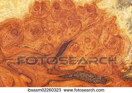 Stock Image - "Root wood, detail view, little old box". Fotosearch