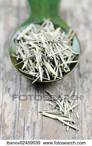 Rosemary on green spoon View Large Photo Image Stock Photo - Rosemary on green spoon. Fotosearch