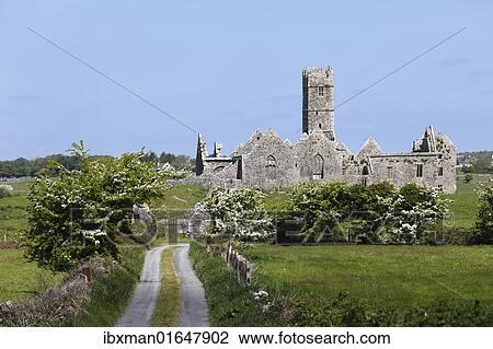 "Ross Abbey near Headford, County Galway, Connacht, Republic of Ireland, Europe" View Large Photo Image Stock Image - "Ross Abbey near Headford, County Galway, Connacht, Republic of Ireland, Europe". Fotosearch