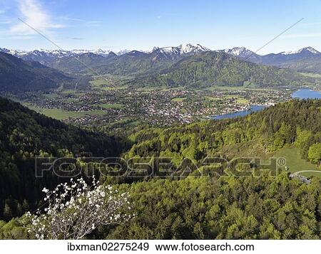"Rottach-Egern and lake Tegernsee, Tegernsee valley, view as seen from Riederstein mountain, Mangfall Mountains, Upper Bavaria, Bavaria, Germany, Europe" View Large Photo Image Stock Photo - "Rottach-Egern and lake Tegernsee, Tegernsee valley, view as seen from Riederstein mountain, Mangfall Mountains, Upper Bavaria, Bavaria, Germany, Europe". Fotosearch