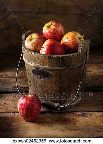Royal Gala apples View Large Photo Image Stock Photography - Royal Gala apples. Fotosearch