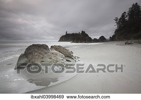 "Ruby Beach, Forks, Olympic National Park, Washington, United States, North America" View Large Photo Image Stock Photo - "Ruby Beach, Forks, Olympic National Park, Washington, United States, North America". Fotosearch
