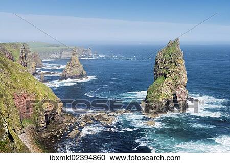 "Rugged coastal landscape with the Duncansby Stacks, rock pinnacles, at Duncansby Head, Caithness, Scotland, United Kingdom, Europe" View Large Photo Image Stock Image - "Rugged coastal landscape with the Duncansby Stacks, rock pinnacles, at Duncansby Head, Caithness, Scotland, United Kingdom, Europe". Fotosearch