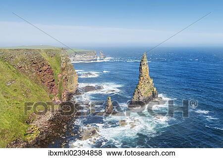 "Rugged coastal landscape with the Duncansby Stacks, rock pinnacles, at Duncansby Head, Caithness, Scotland, United Kingdom, Europe" View Large Photo Image Stock Photo - "Rugged coastal landscape with the Duncansby Stacks, rock pinnacles, at Duncansby Head, Caithness, Scotland, United Kingdom, Europe". Fotosearch