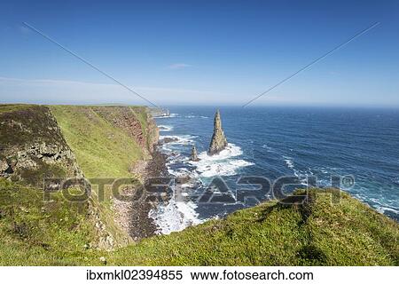 "Rugged coastal landscape with the Duncansby Stacks, rock pinnacles, at Duncansby Head, Caithness, Scotland, United Kingdom, Europe" View Large Photo Image Stock Photography - "Rugged coastal landscape with the Duncansby Stacks, rock pinnacles, at Duncansby Head, Caithness, Scotland, United Kingdom, Europe". Fotosearch