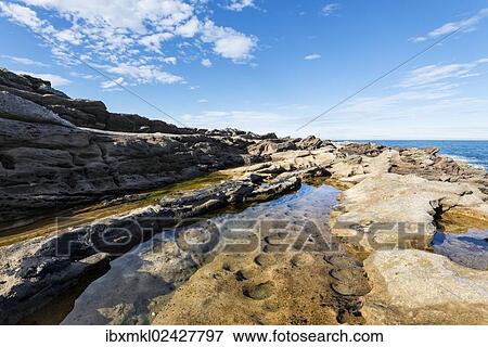 Stock Photo - "Rugged coastline with eroded sandstone on the Moray Firth at Tarbat Ness, Scotland, United Kingdom, Europe". Fotosearch