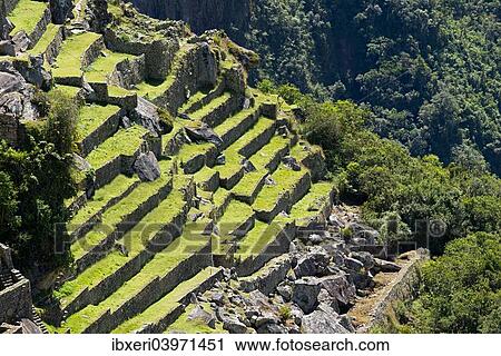 "Ruined city of the Incas, Machu Picchu, Peru, South America" View Large Photo Image Stock Image - "Ruined city of the Incas, Machu Picchu, Peru, South America". Fotosearch
