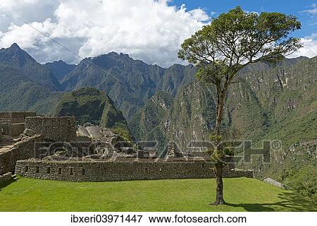 "Ruins of Machu Picchu, UNESCO World Heritage Site, Peru, South America" View Large Photo Image Stock Photo - "Ruins of Machu Picchu, UNESCO World Heritage Site, Peru, South America". Fotosearch