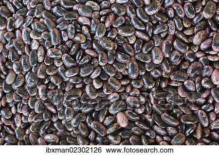Stock Photograph - "Runner beans, farmers' market at Kaiser-Josef Platz square, Graz, Styria, Austria, Europe". Fotosearch