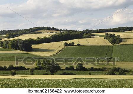 "Rural landscape near Grossmugl, Weinviertel, Wine Quarter, Lower Austria, Austria, Europe" View Large Photo Image Stock Image - "Rural landscape near Grossmugl, Weinviertel, Wine Quarter, Lower Austria, Austria, Europe". Fotosearch