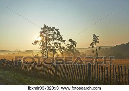 Stock Image - "Rural morning mood with a picket fence in the late summer early morning fog, Montagnac-la-Crempse, Bergerac, Departement Dordogne, Aquitaine, France, Europe". Fotosearch