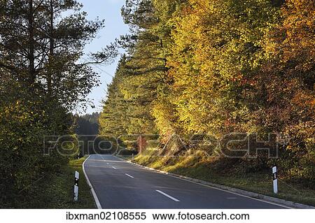 "Rural road FO40 in Aufsesstal, Franconian Switzerland, Upper Franconia, Franconia, Bavaria, Germany, Europe" View Large Photo Image Stock Photography - "Rural road FO40 in Aufsesstal, Franconian Switzerland, Upper Franconia, Franconia, Bavaria, Germany, Europe". Fotosearch