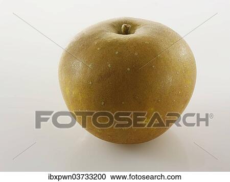 Russet apple View Large Photo Image Stock Image - Russet apple. Fotosearch