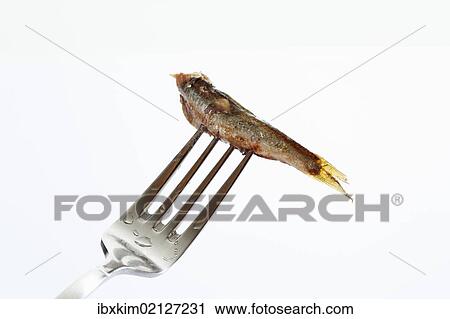 Stock Image - Russian sprat from the tin on a fork. Fotosearch
