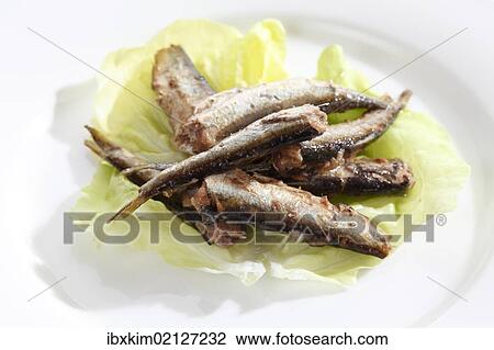 Russian sprats from the tin can on a plate View Large Photo Image Stock Image - Russian sprats from the tin can on a plate. Fotosearch