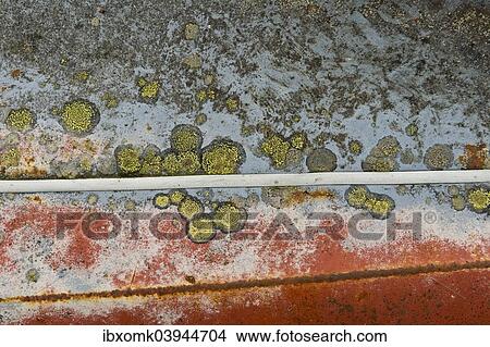"Rust and lichen on car body, Kyrko Mosse junkyard, Ryd, Tingsryd, Kronoberg County, Sweden, Europe" View Large Photo Image Picture - "Rust and lichen on car body, Kyrko Mosse junkyard, Ryd, Tingsryd, Kronoberg County, Sweden, Europe". Fotosearch