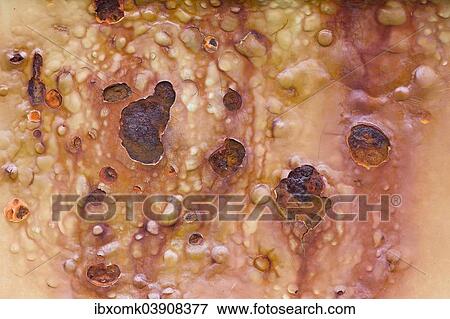 Stock Photo - "Rust stains, Denmark, Europe". Fotosearch