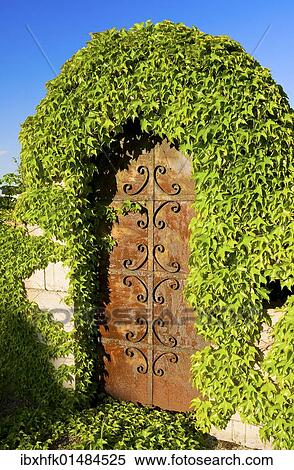 Stock Photography - "Rusty iron gate covered in vines, Apetlon, Brugenland, Austria, Europe". Fotosearch
