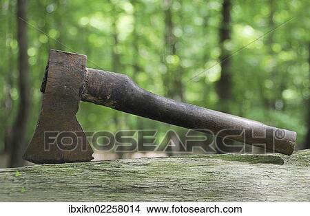 Rusty old axe in the forest View Large Photo Image Picture - Rusty old axe in the forest. Fotosearch