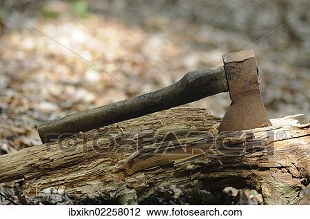 Stock Image - Rusty old axe in the forest. Fotosearch