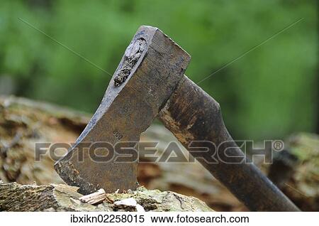 Rusty old axe in the forest View Large Photo Image Stock Photography - Rusty old axe in the forest. Fotosearch