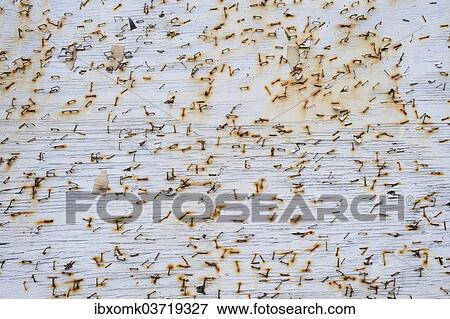"Rusty staples on a wooden board, Faroe Islands, Faroe Islands, Denmark, Europe" View Large Photo Image Stock Photo - "Rusty staples on a wooden board, Faroe Islands, Faroe Islands, Denmark, Europe". Fotosearch