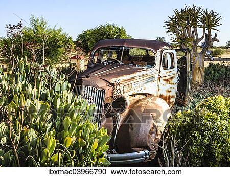 "Rusty vintage car surrounded by plants, Karas, Namibia, Africa" View Large Photo Image Stock Image - "Rusty vintage car surrounded by plants, Karas, Namibia, Africa". Fotosearch