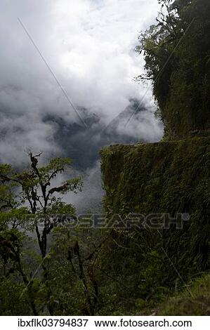 "Ruta de La Muerte, Death Road, between La Paz and Coroico, Yungas, Department of La Paz, Bolivia, South America" View Large Photo Image Stock Photo - "Ruta de La Muerte, Death Road, between La Paz and Coroico, Yungas, Department of La Paz, Bolivia, South America". Fotosearch