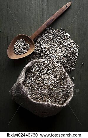 Rye grains in a jute sack with a wooden spoon View Large Photo Image Stock Image - Rye grains in a jute sack with a wooden spoon. Fotosearch