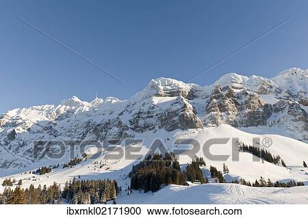 "Saentis massif in the winter with Mt Saentis, 2500m, Appenzell Alps, Canton Appenzell-Innerrhoden, Switzerland, Europe" View Large Photo Image Stock Image - "Saentis massif in the winter with Mt Saentis, 2500m, Appenzell Alps, Canton Appenzell-Innerrhoden, Switzerland, Europe". Fotosearch