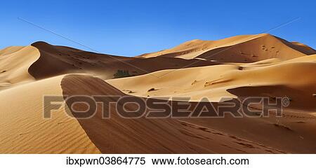"Sahara sand dunes of Erg Chebbi, Morocco, Africa" View Large Photo Image Stock Photography - "Sahara sand dunes of Erg Chebbi, Morocco, Africa". Fotosearch