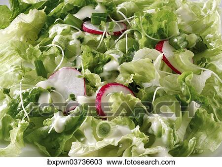 Salad View Large Photo Image Stock Image - Salad. Fotosearch