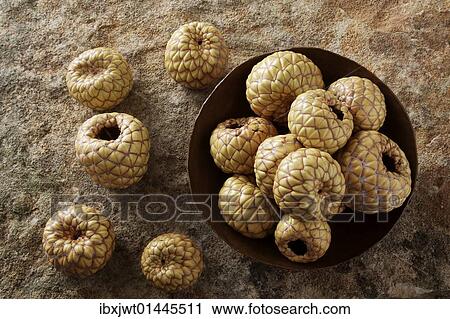 "Salak (Salacca zalacca), fruit, in a copper bowl on a stone surface" View Large Photo Image Stock Image - "Salak (Salacca zalacca), fruit, in a copper bowl on a stone surface". Fotosearch