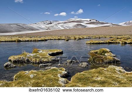 "Salar de Tara, Salt Flats, Atacama, Chile, South America" View Large Photo Image Stock Image - "Salar de Tara, Salt Flats, Atacama, Chile, South America". Fotosearch