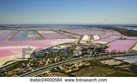 Picture - "Salines, Aigues-Mortes, Camargue, Languedoc-Roussillon, France, Europe". Fotosearch