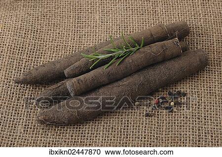 Salsify roots and pepper corns View Large Photo Image Stock Image - Salsify roots and pepper corns. Fotosearch