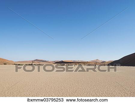 "Salt and clay pan, Deadvlei, Sossusvlei, Namib Desert, Namibia, Africa" View Large Photo Image Stock Image - "Salt and clay pan, Deadvlei, Sossusvlei, Namib Desert, Namibia, Africa". Fotosearch